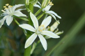 Enlarge photo 185