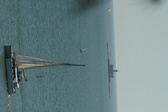 Enlarge photo 190