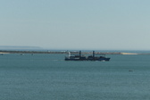 Enlarge photo 203