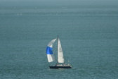 Enlarge photo 212