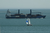 Enlarge photo 216