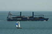 Enlarge photo 217
