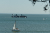 Enlarge photo 223