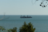 Enlarge photo 224