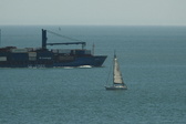 Enlarge photo 229