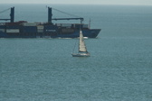 Enlarge photo 230