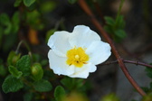 Enlarge photo 253