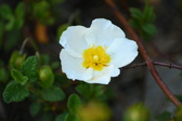 Enlarge photo 254