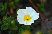 Enlarge photo 255