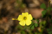 Enlarge photo 276