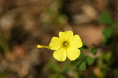 Enlarge photo 277