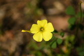 Enlarge photo 278