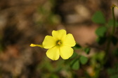 Enlarge photo 279