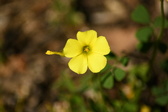Enlarge photo 280
