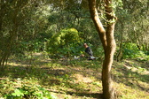 Enlarge photo 281