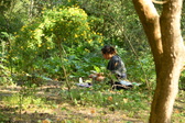 Enlarge photo 282