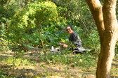 Enlarge photo 283