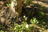 Enlarge photo 284