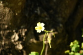 Enlarge photo 287