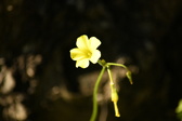 Enlarge photo 288