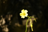 Enlarge photo 289
