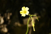 Enlarge photo 290