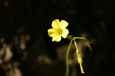 Enlarge photo 292