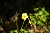 Enlarge photo 294