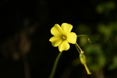 Enlarge photo 296