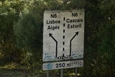 Enlarge photo 297