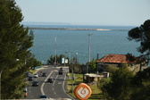 Enlarge photo 301