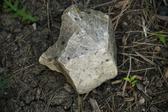 Enlarge photo 302