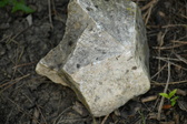 Enlarge photo 303