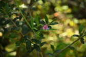 Enlarge photo 306