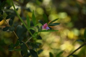 Enlarge photo 308