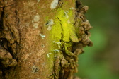 Enlarge photo 309