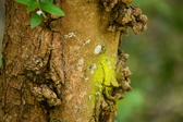 Enlarge photo 310