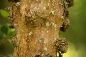 Enlarge photo 311