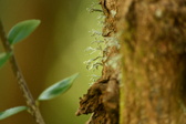 Enlarge photo 314
