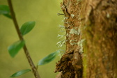 Enlarge photo 315