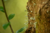 Enlarge photo 316