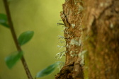 Enlarge photo 317