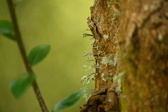 Enlarge photo 318