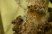 Enlarge photo 322