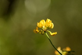Enlarge photo 324