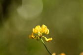 Enlarge photo 326