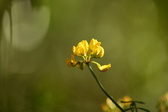 Enlarge photo 329