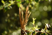 Enlarge photo 331
