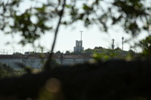 Enlarge photo 338
