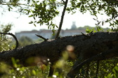 Enlarge photo 342